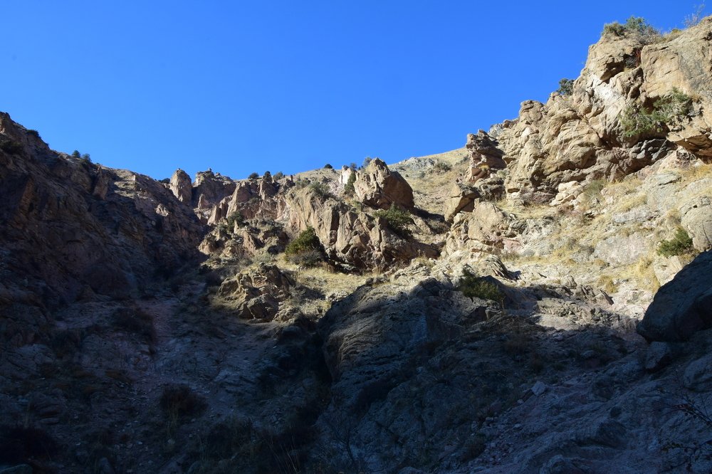 Photograph by Марина Белькова