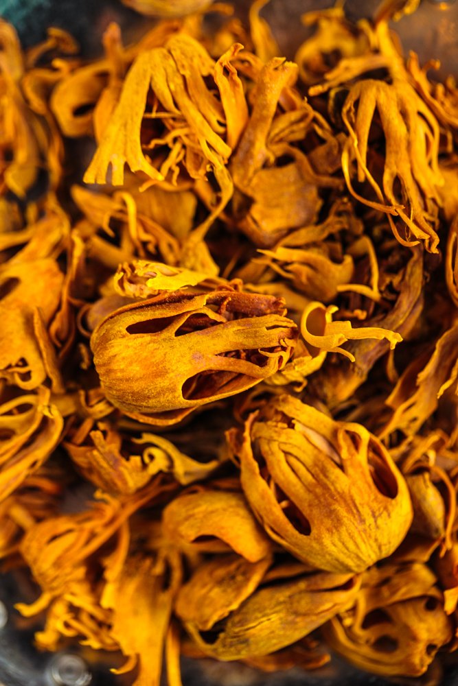 Photograph by Инна Тунык