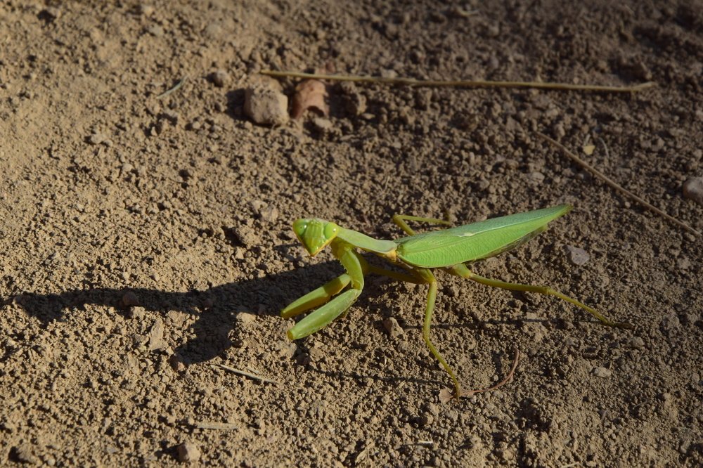 Photograph by Марина Белькова