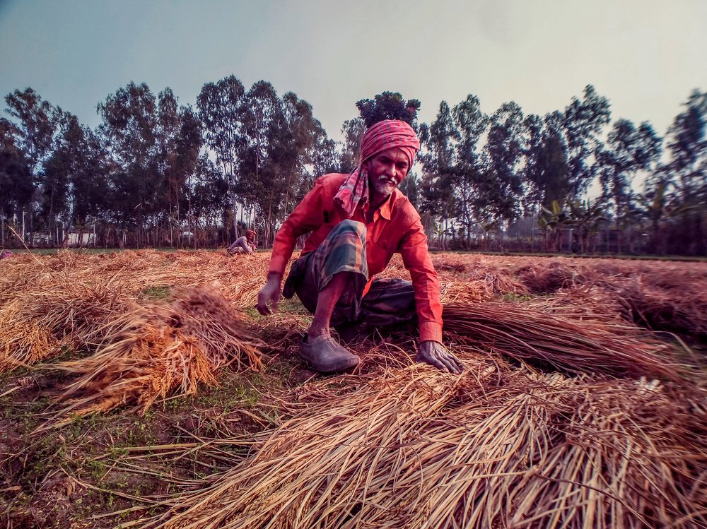 Photograph by Md Abu Sayeed Mondal