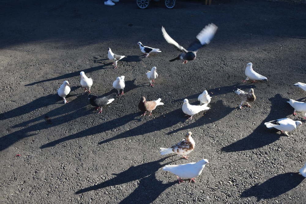 Photograph by Марина Белькова