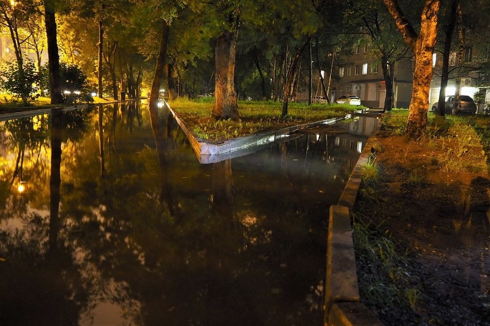 Photograph by Дмитрий Прокопяк