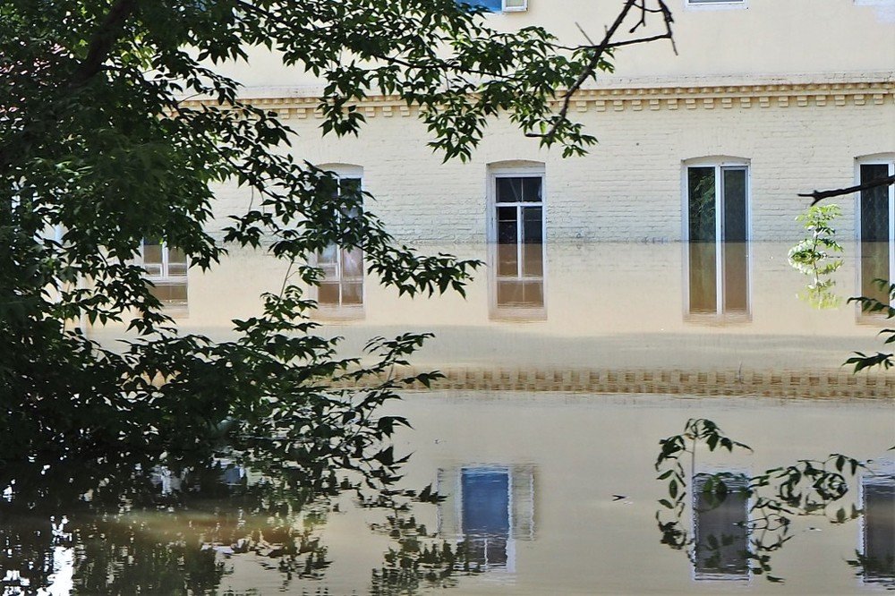 Photograph by Дмитрий Прокопяк