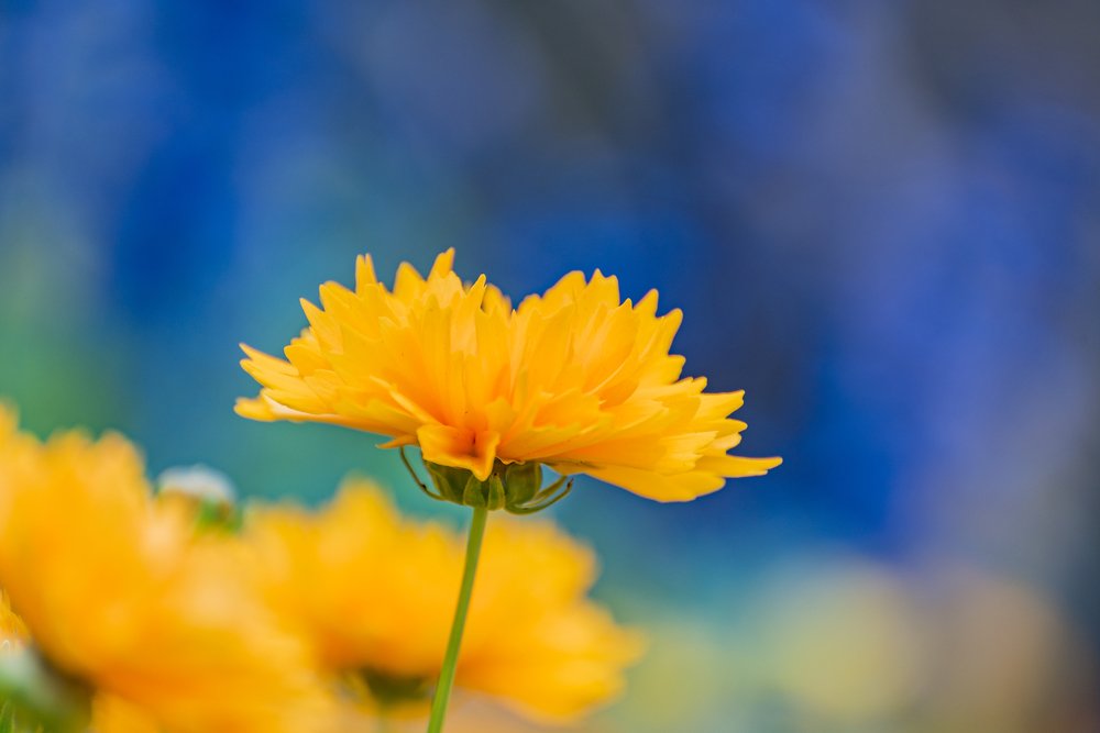 Photograph by Ela Opatowiecka