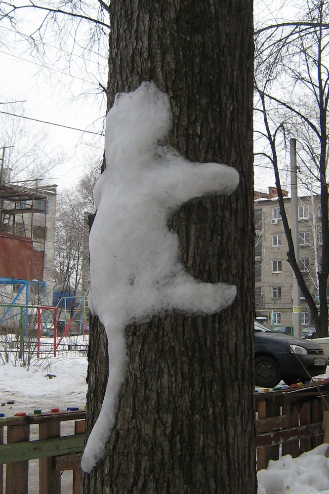 Photograph by Виктор Данилов