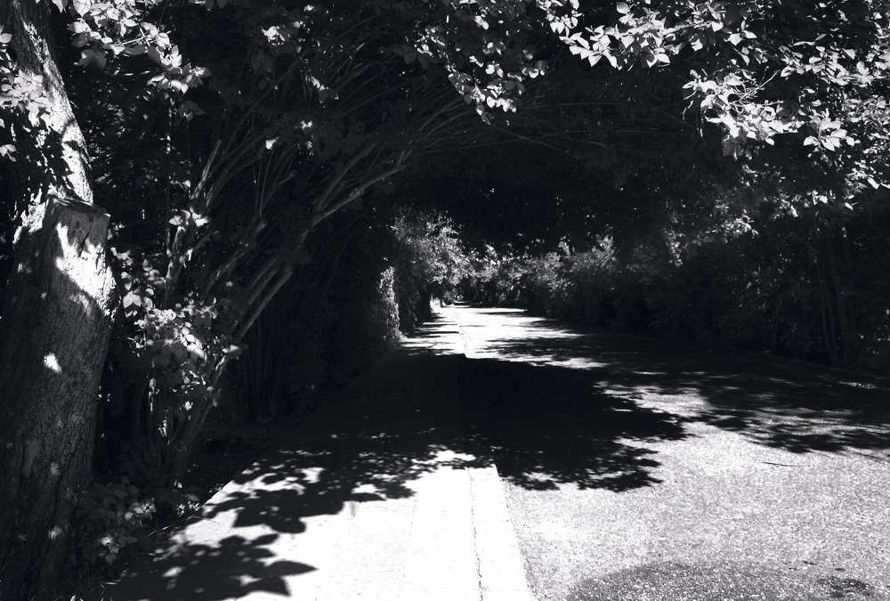 Photograph by Tatevik Tananyan