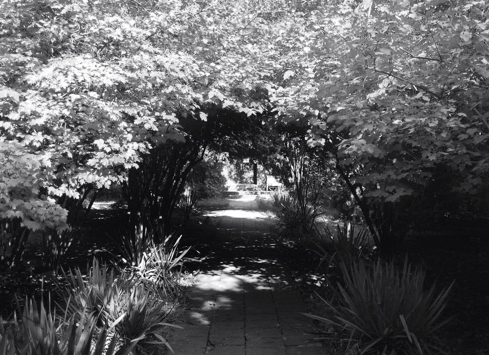 Photograph by Tatevik Tananyan