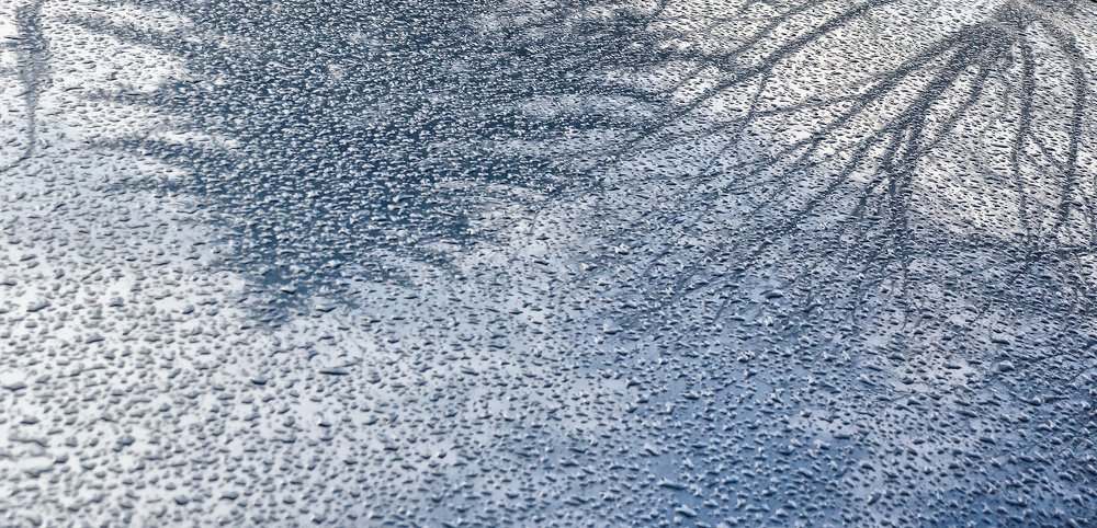 Фотография автора Майя Афзаал