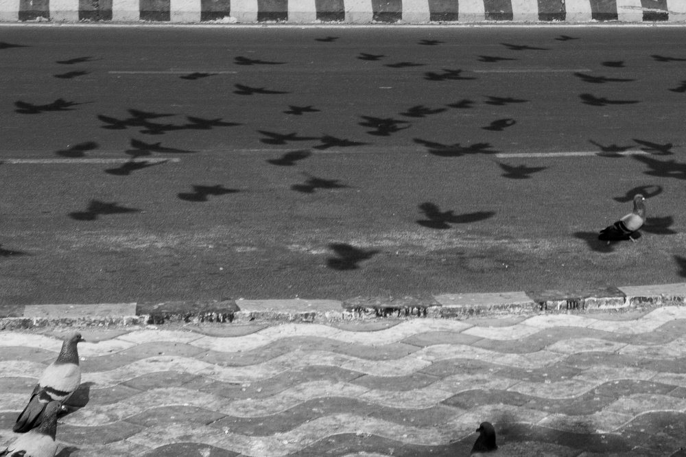 Photograph by biswajit sahani