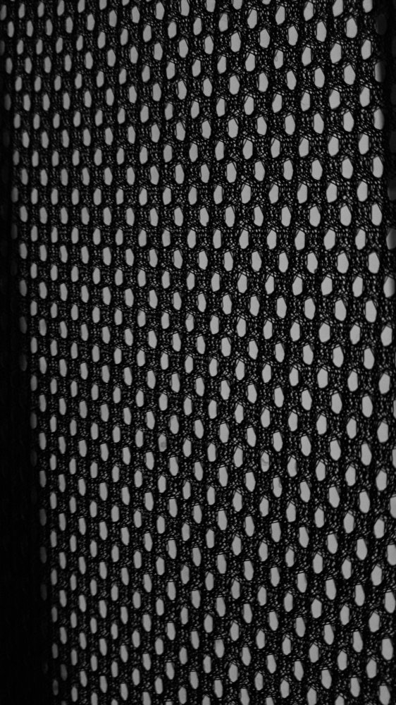 Photo #4012717