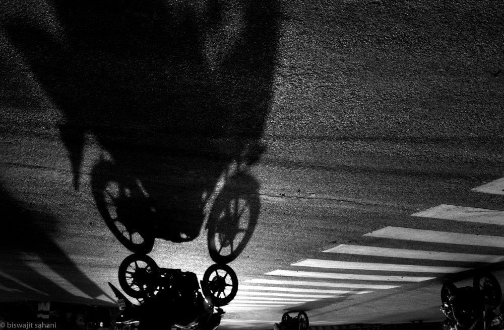 Photograph by biswajit sahani