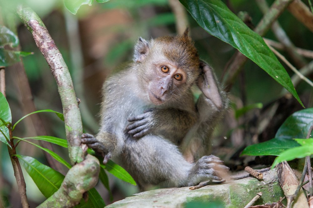 Photograph by Скворцов Аркадий