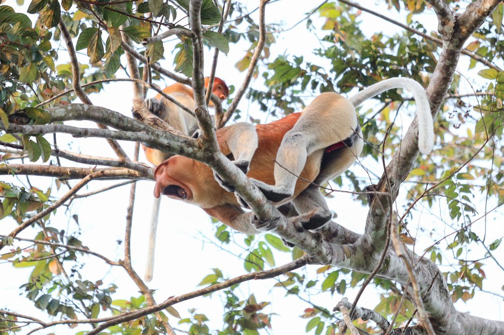 Photograph by Скворцов Аркадий