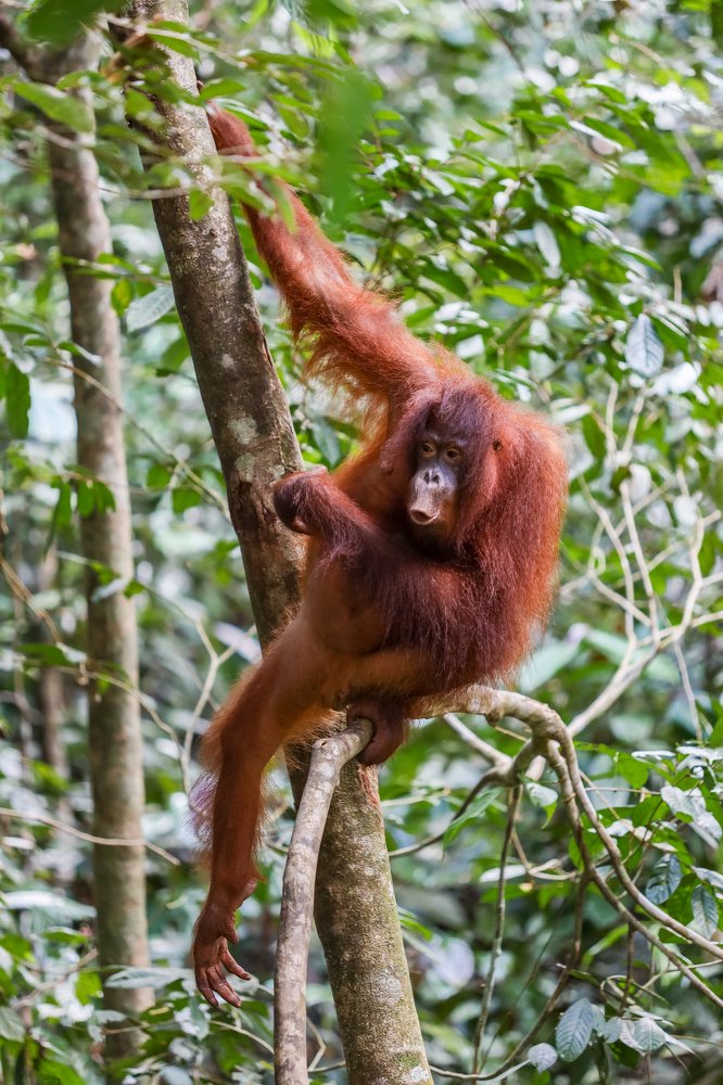 Photograph by Скворцов Аркадий