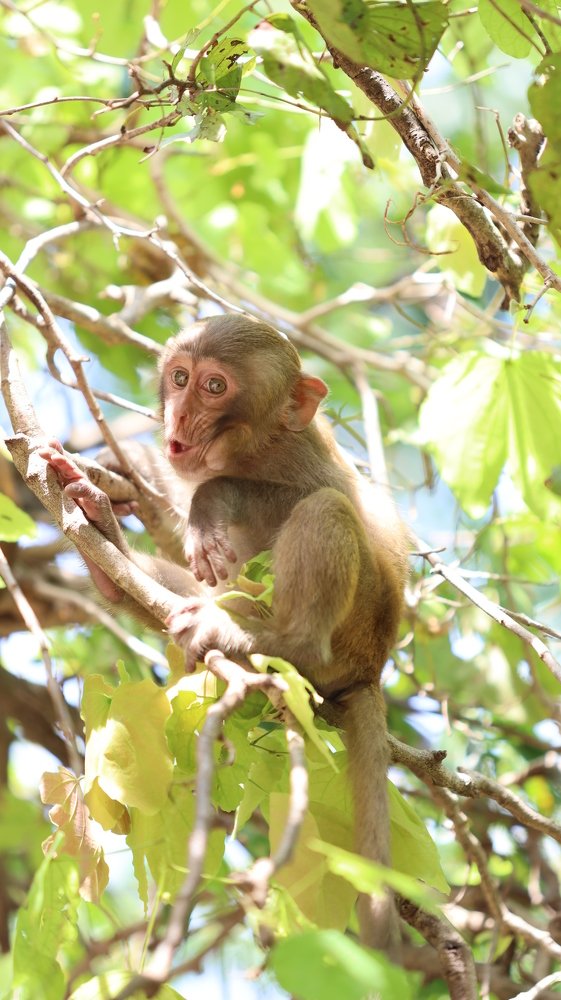 Photograph by Скворцов Аркадий