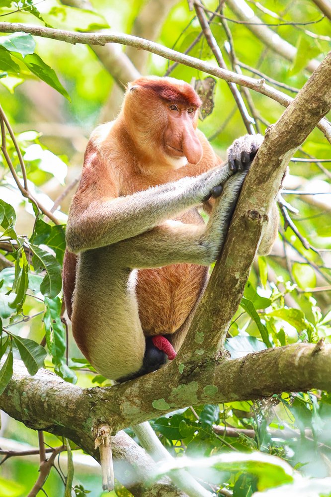 Photograph by Скворцов Аркадий