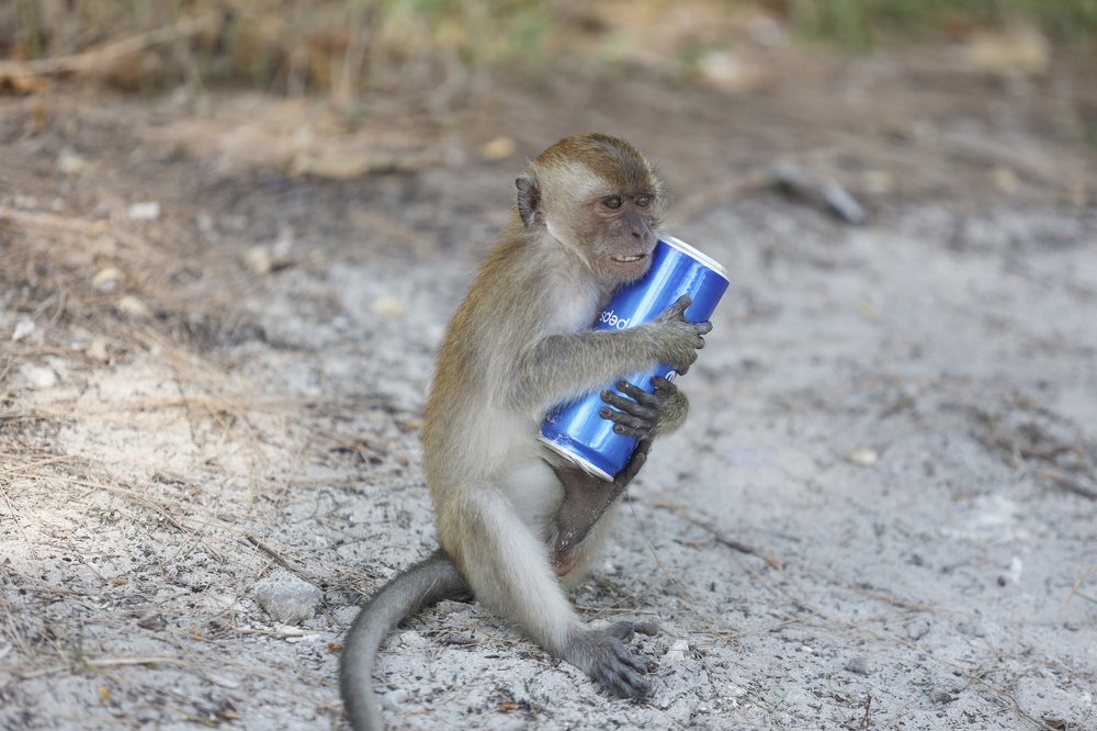 Photograph by Скворцов Аркадий