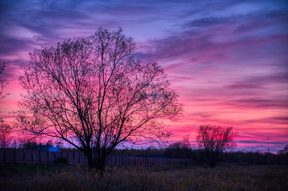 Photograph by Сергей Кирюхин