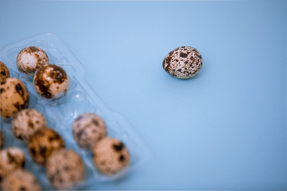 Photograph by Екатерина Рекина