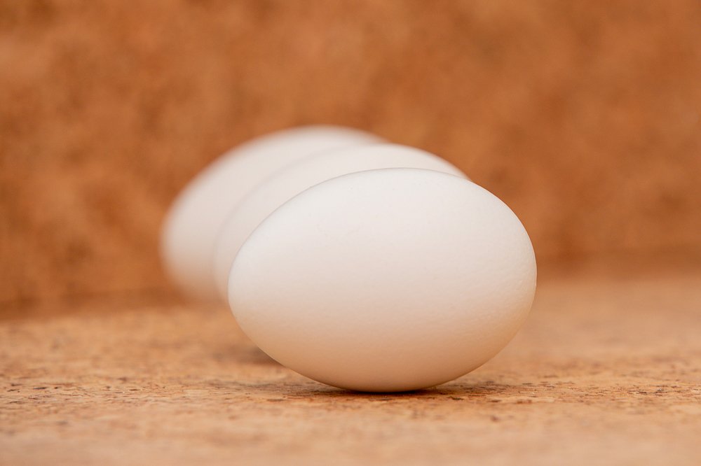 Photograph by Екатерина Рекина