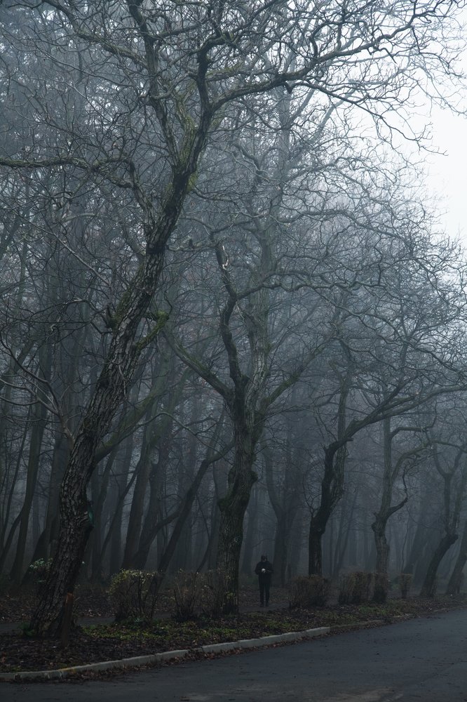 Фотография автора Ivelina Petkova