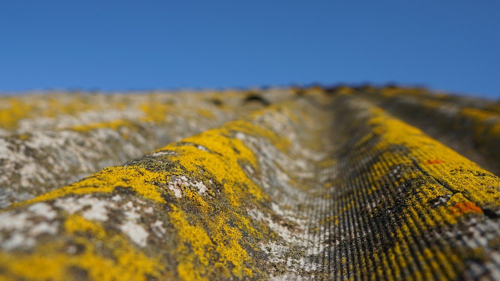 Photograph by Талгат Батыргареев