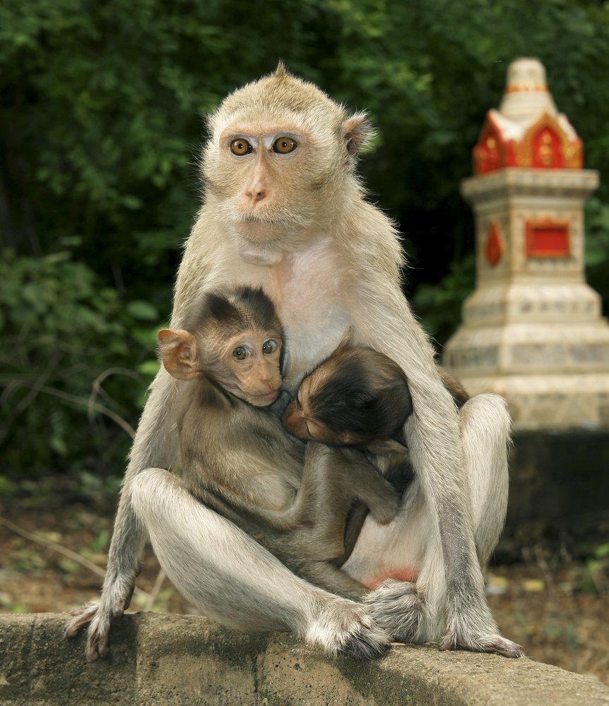 Photograph by Игорь Чупин