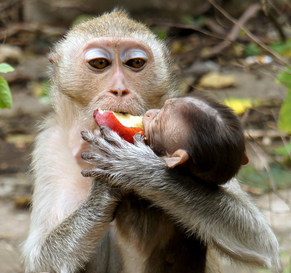 Photograph by Игорь Чупин