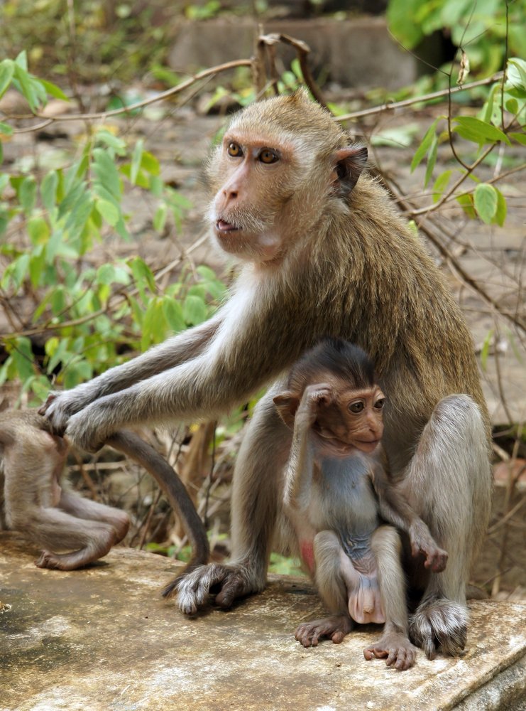 Photograph by Игорь Чупин