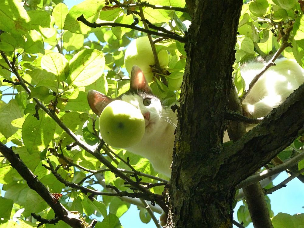 Фотография автора Клавдия Васильева