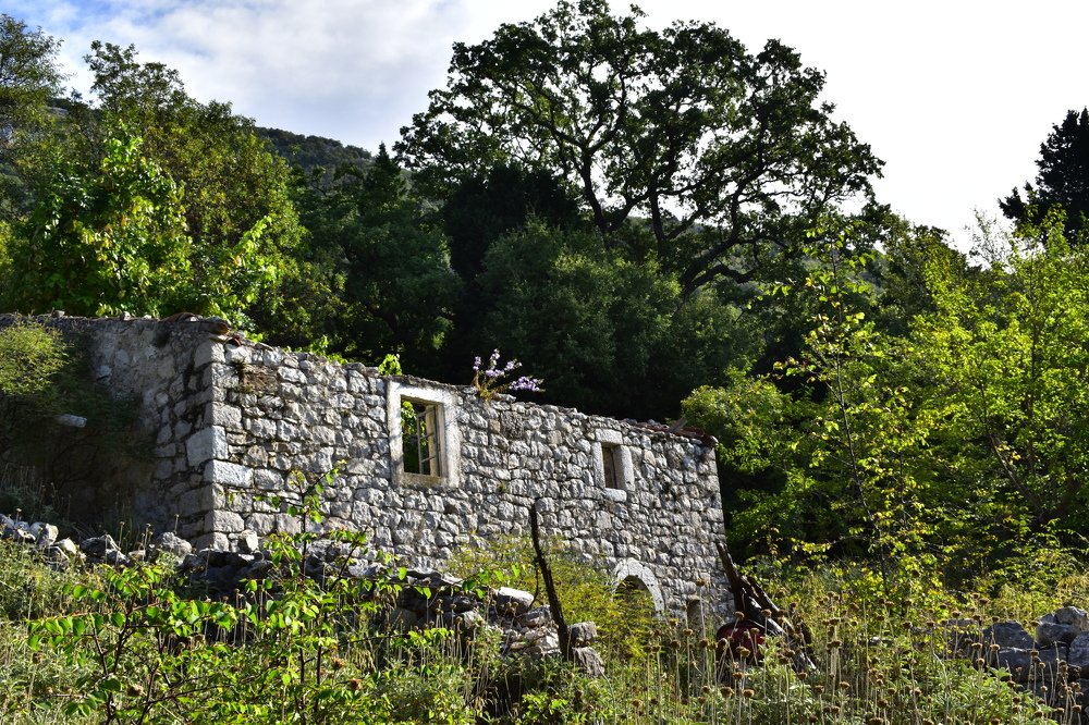 Photograph by Сергей Садчиков