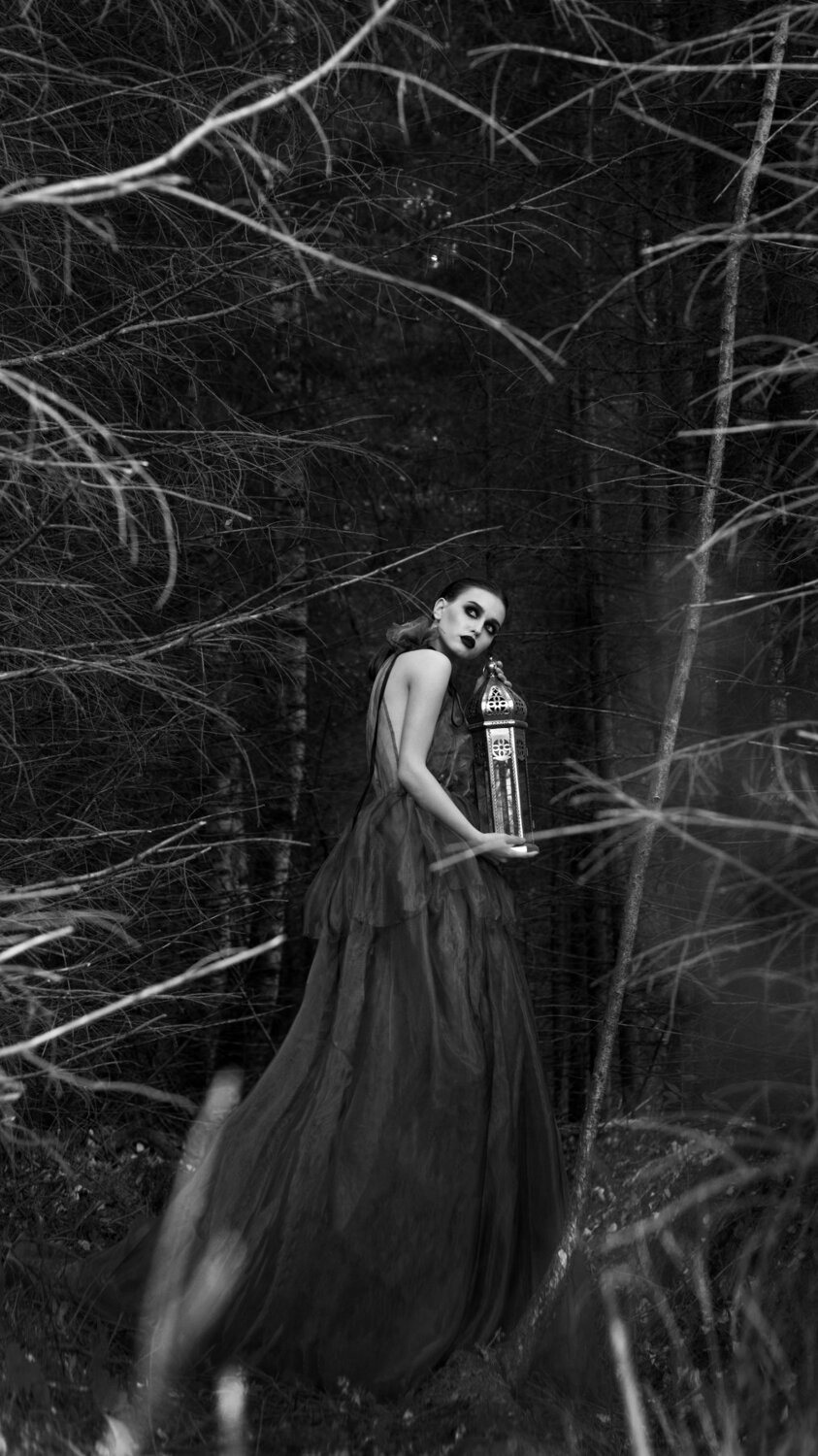 Dark forest