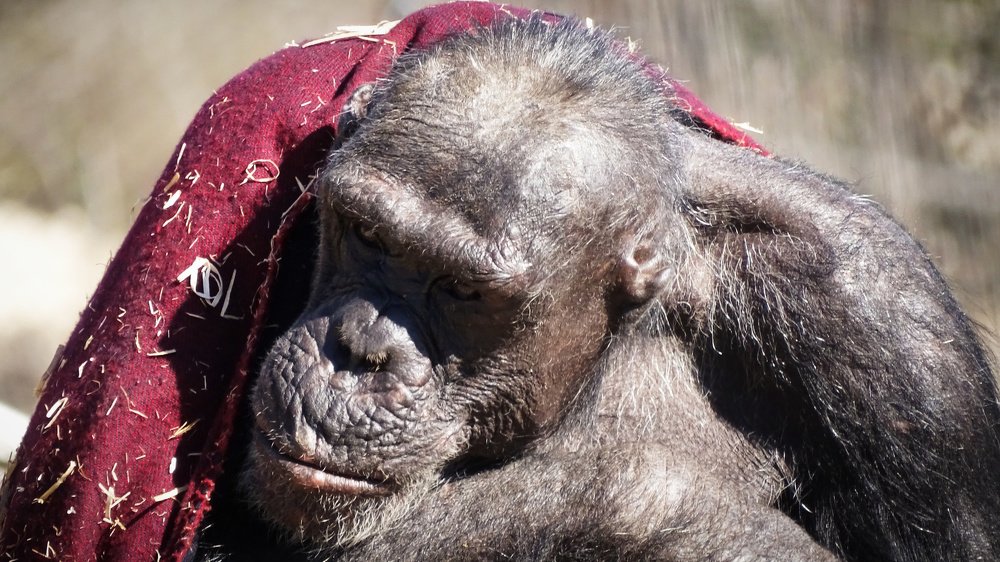 Photograph by Vladislav Kutepov