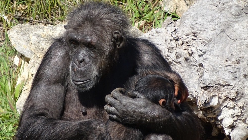 Photograph by Vladislav Kutepov