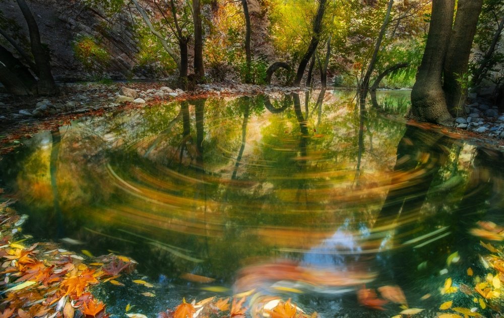 Photograph by Edris Khosravizadeh