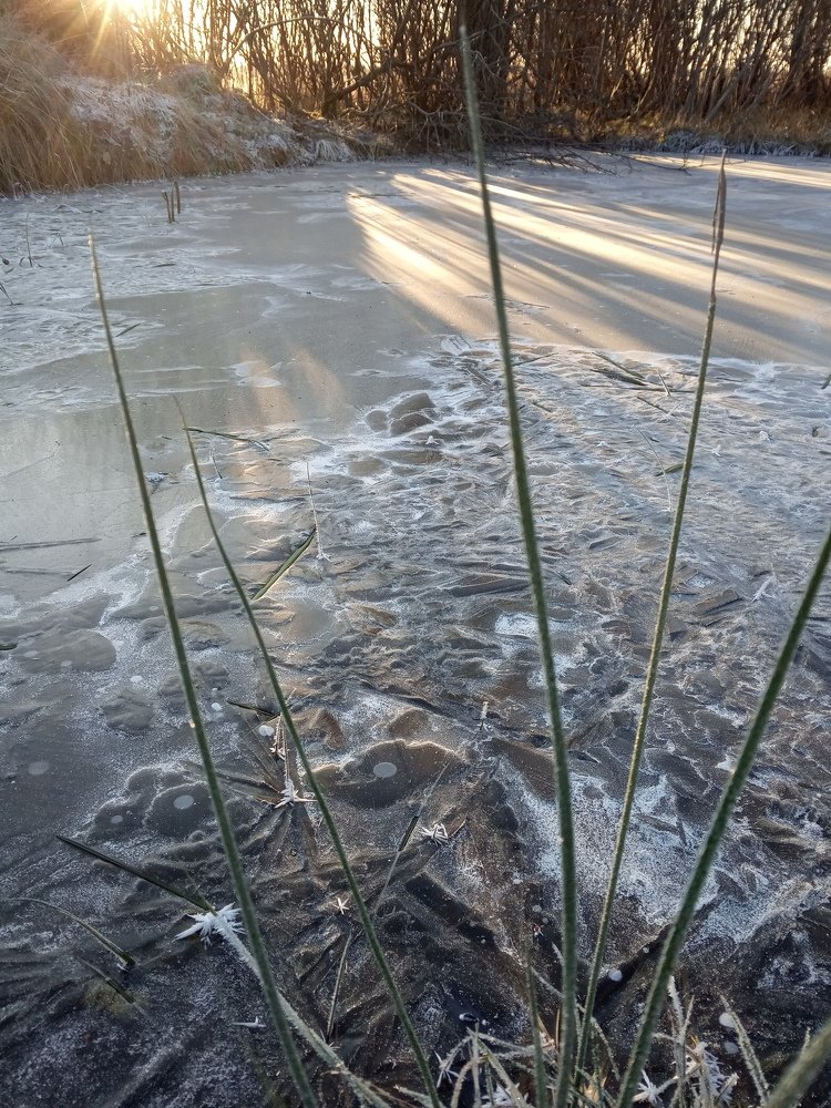 Photograph by Любовь Шаврина