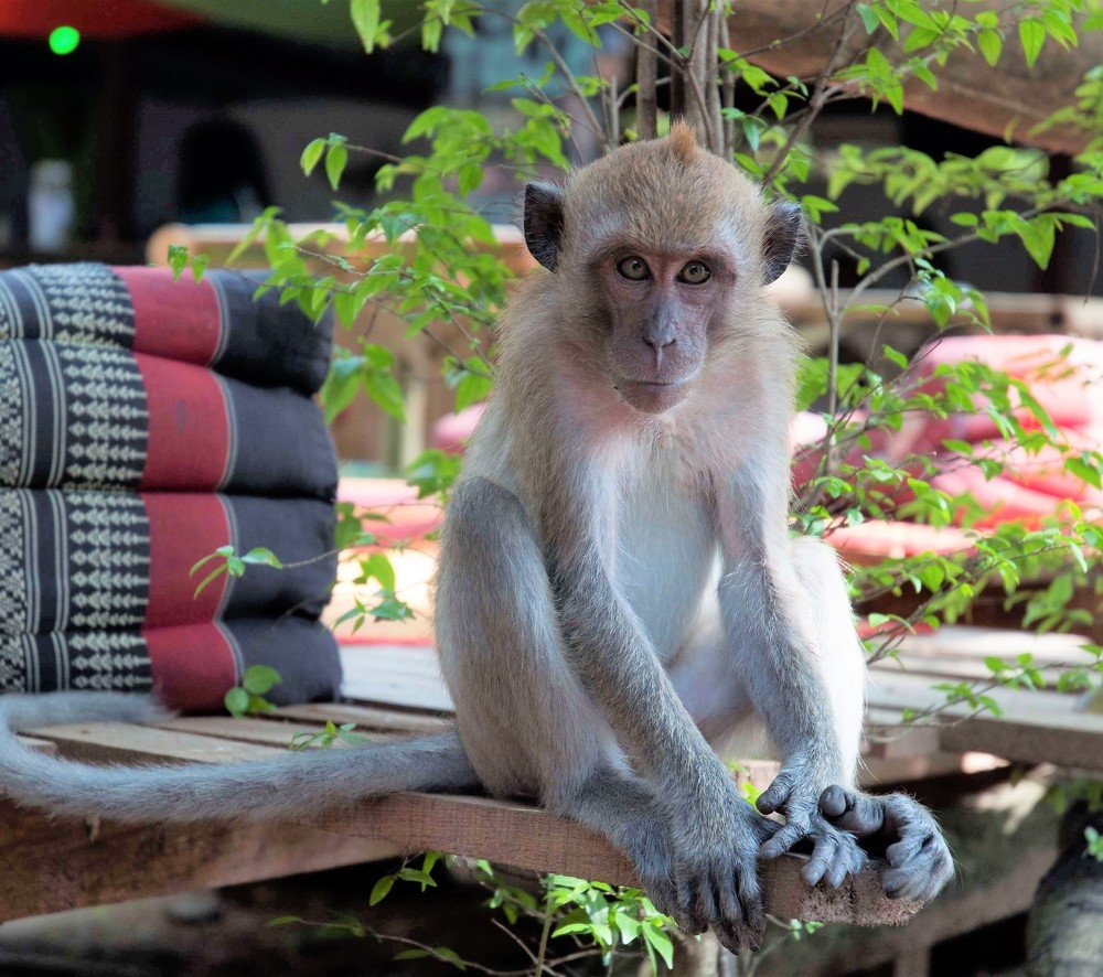 Photograph by Алёна Сокольникова