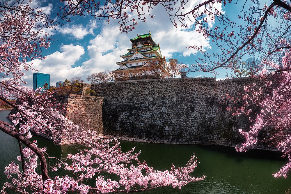 Castle of Osaka