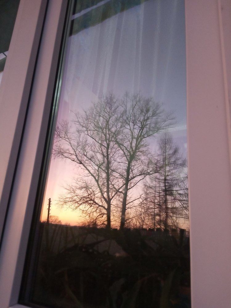 Photograph by Любовь Шаврина