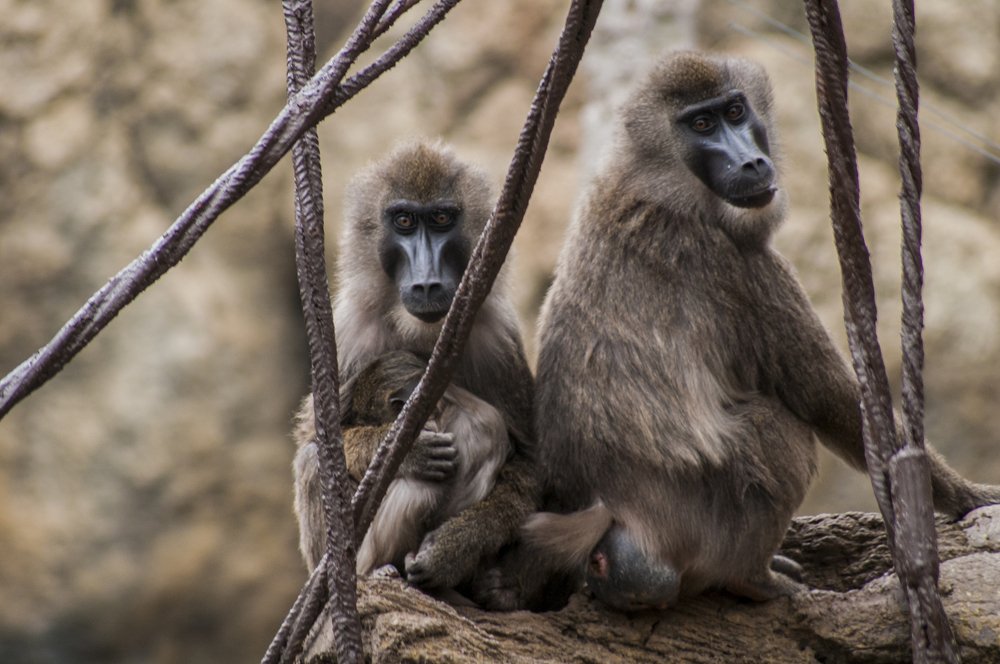 Photograph by Регина Эд