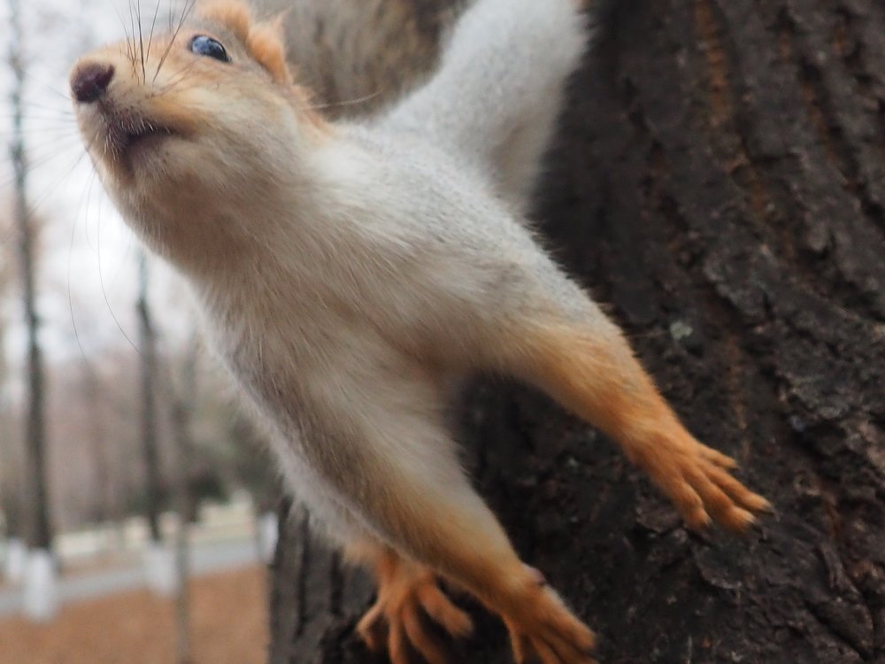 Photograph by Elena Khalizova