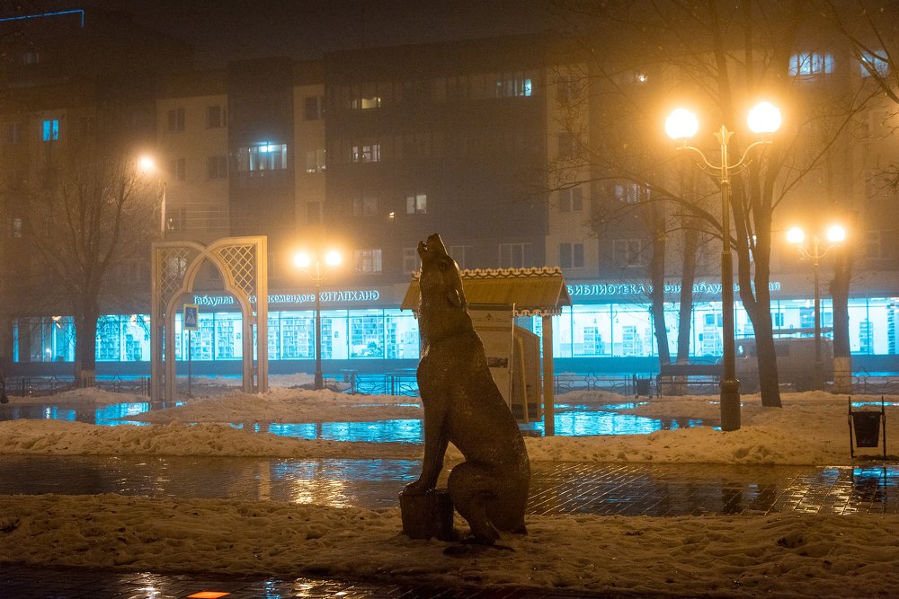 Photograph by Зухра Галиуллина