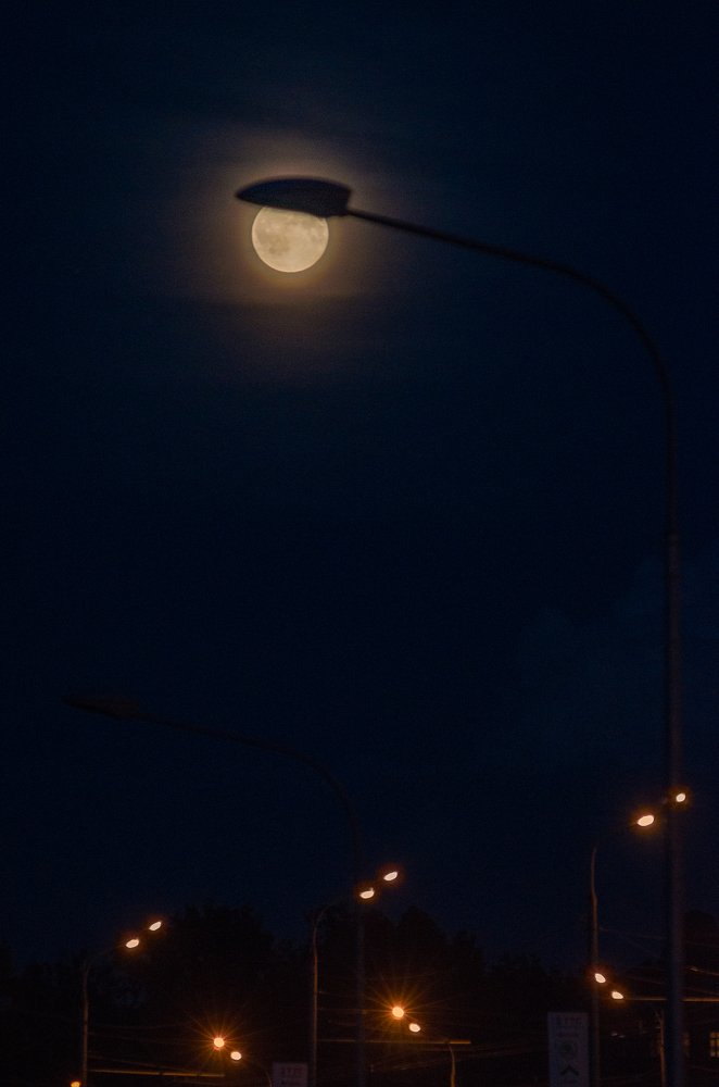 Ночь.Улица.Фонарь