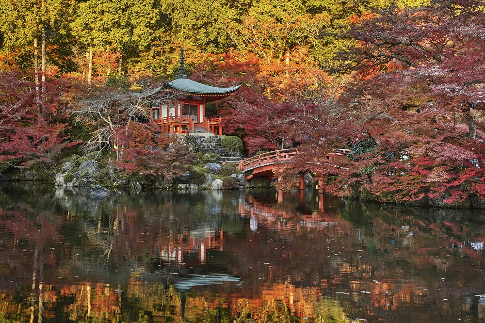 Photograph by Michael Epel