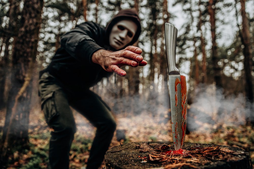 Фотография автора Екатерина Комиссарова