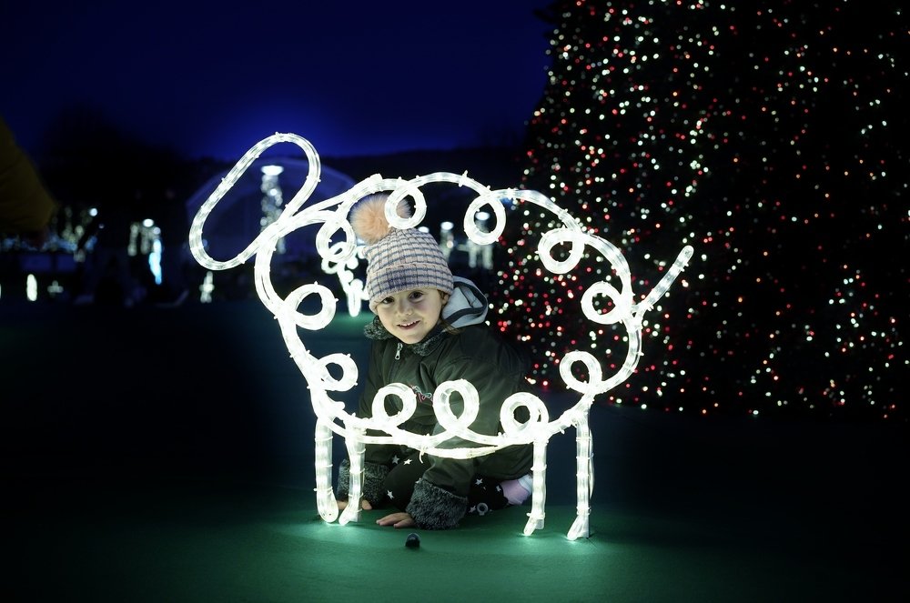 Photograph by carlos teixeira