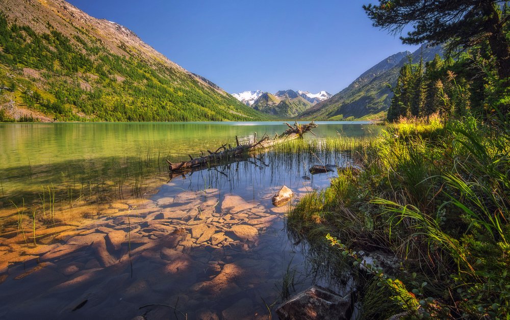 Немного солнца в холодной воде...