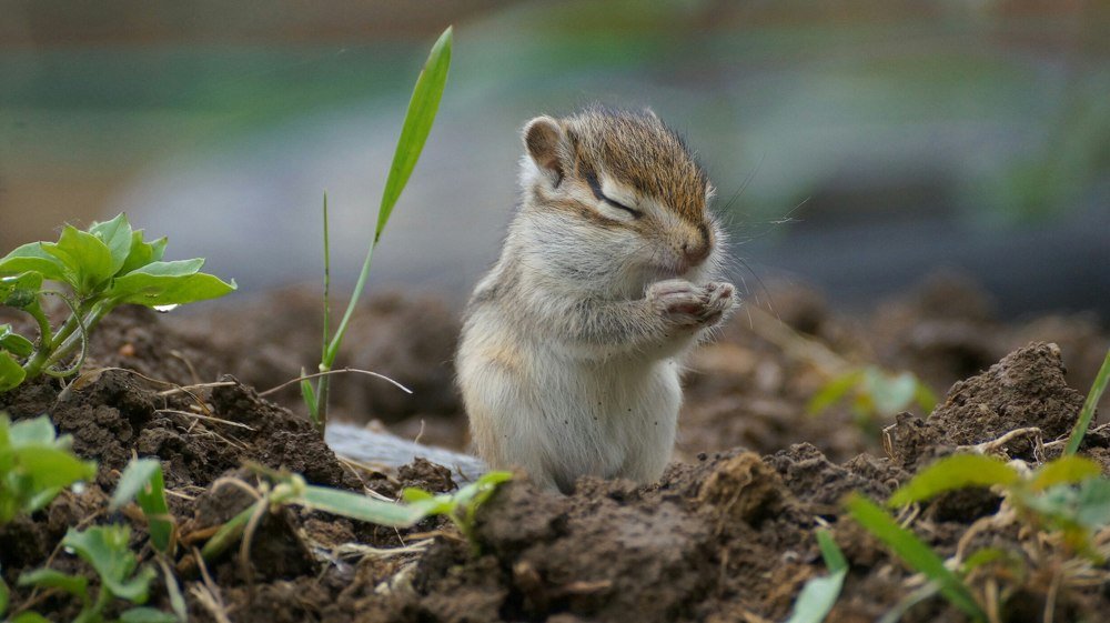 Photograph by Алексей Миронов