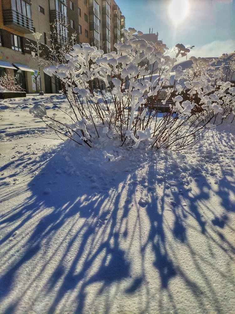 Photograph by Татьяна Лисянская