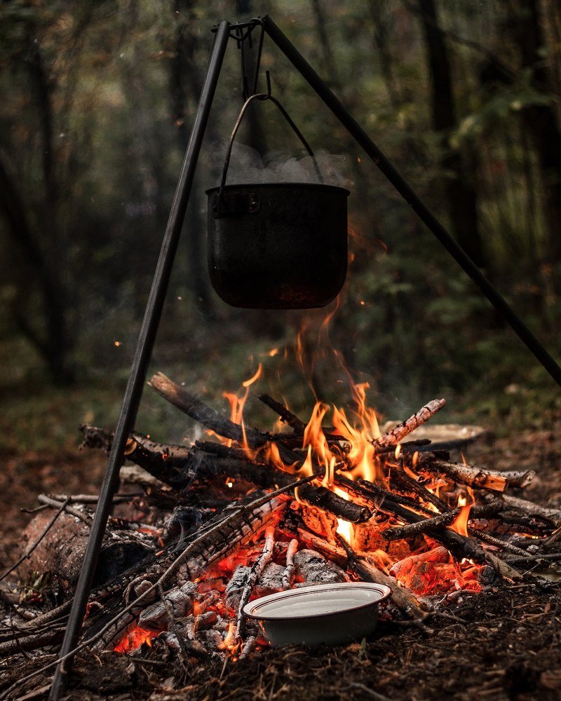 Photograph by Полина Каменкова